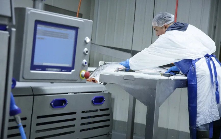 Golden State Seafood transforms salmon processing efficiency with Marel's MS 2750
